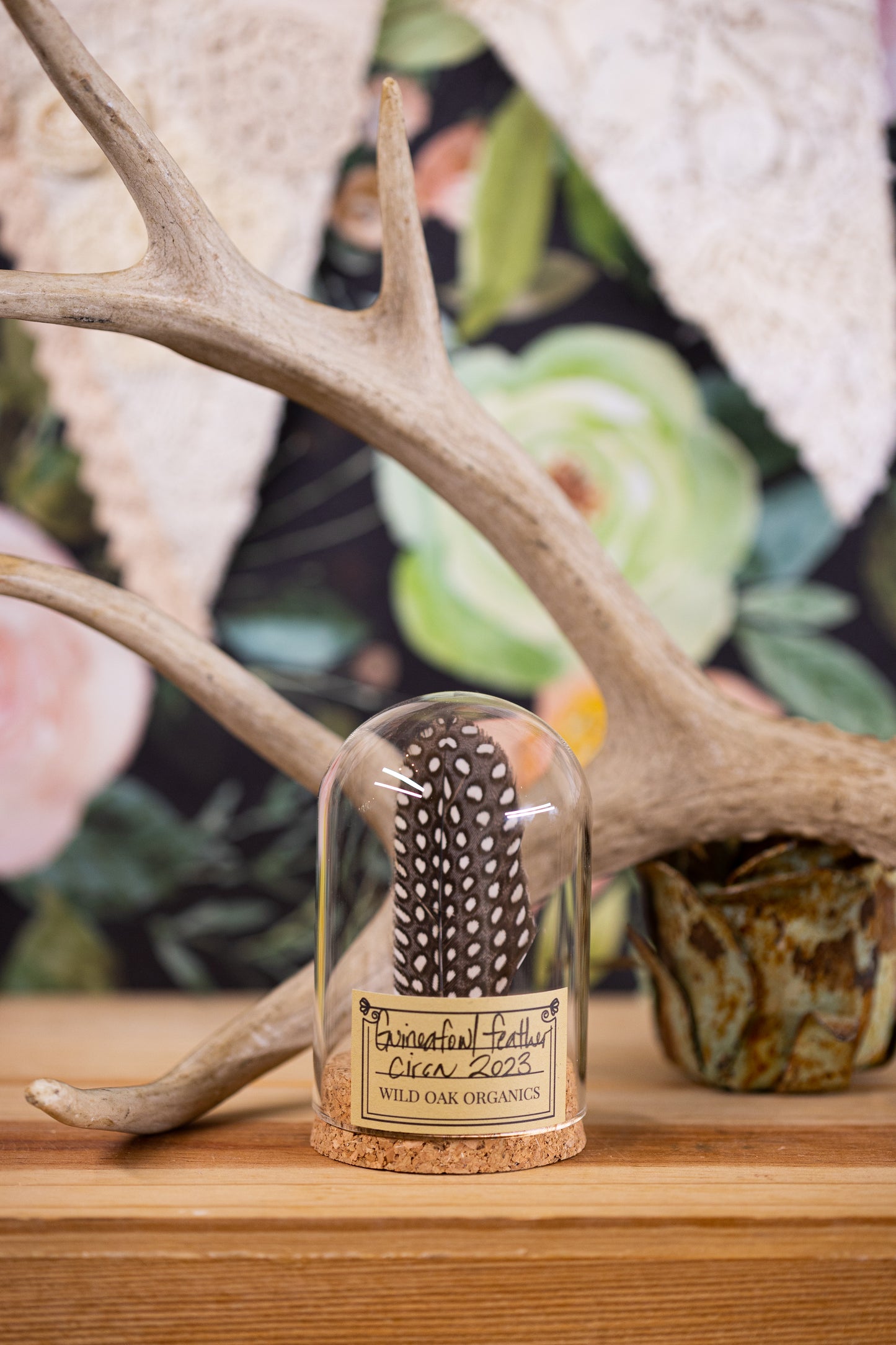 2022 Guineafowl feather CLOCHE