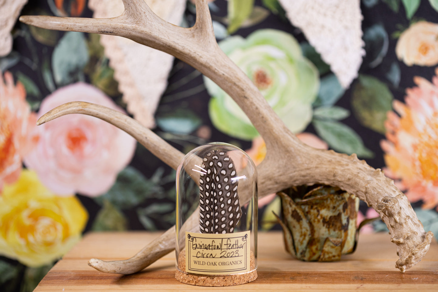 2022 Guineafowl feather CLOCHE
