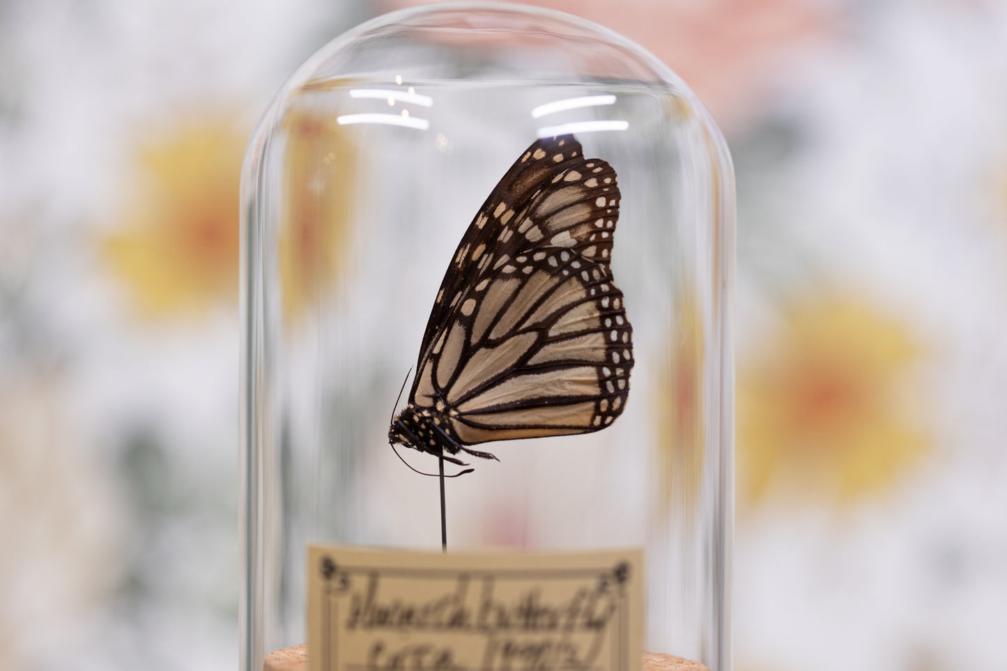 1990's Monarch CLOCHE