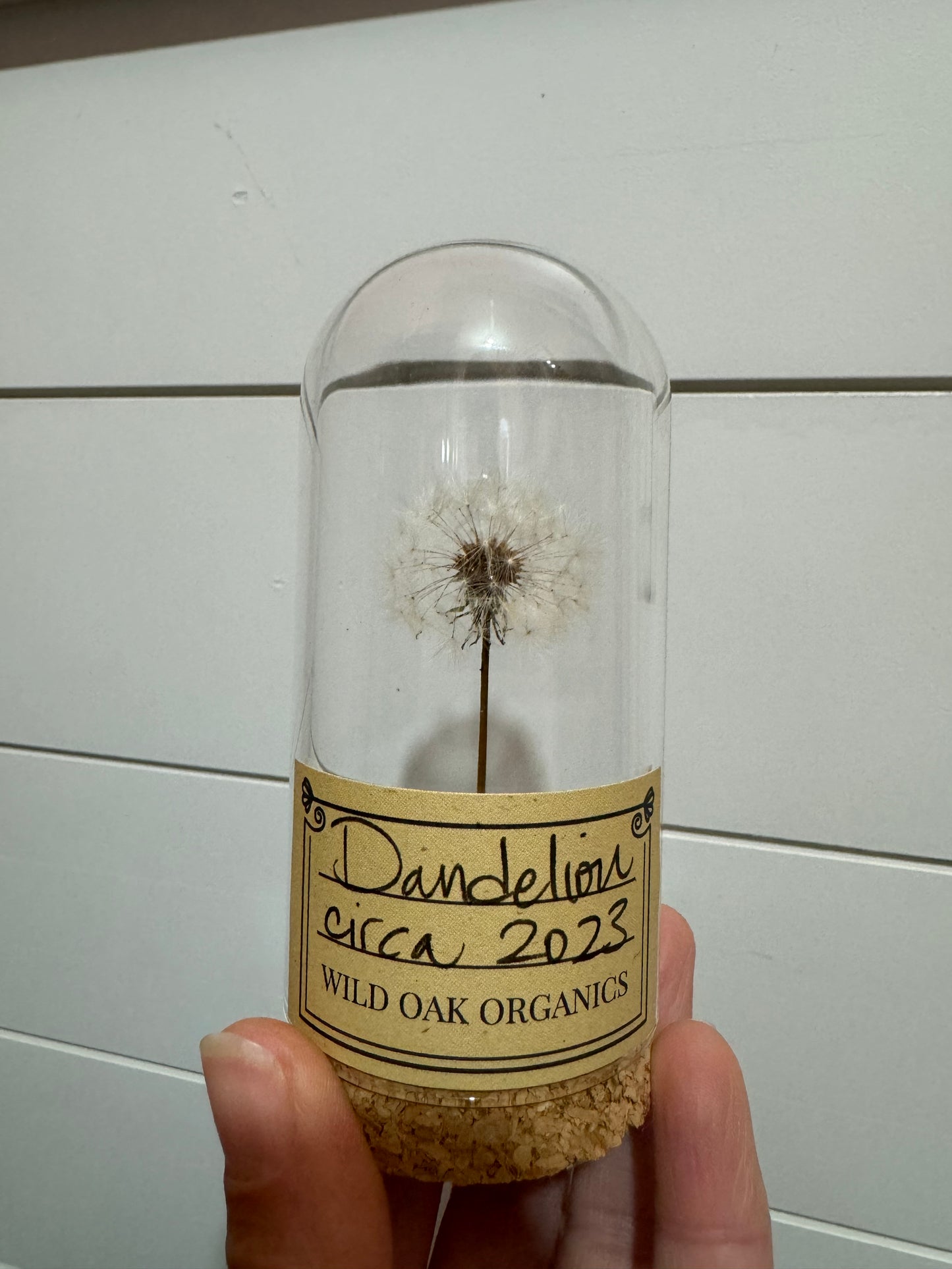 2023 DANDELION CLOCHE