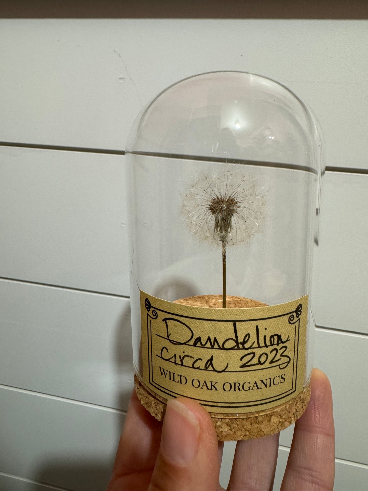 2023 DANDELION CLOCHE