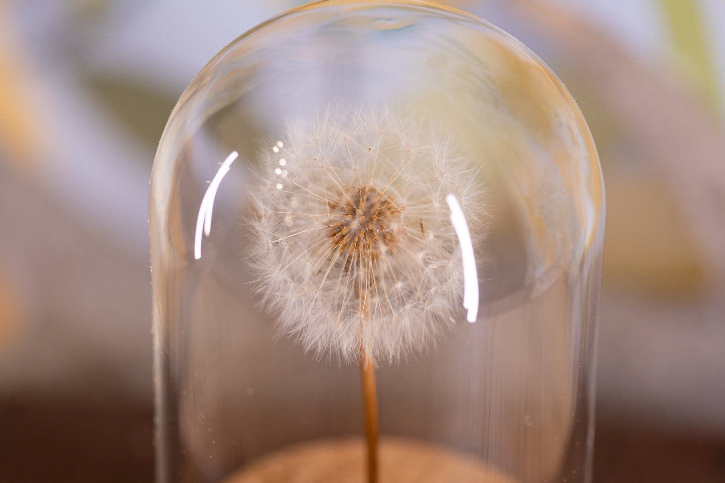 1990's / 1997 Dandelion CLOCHE
