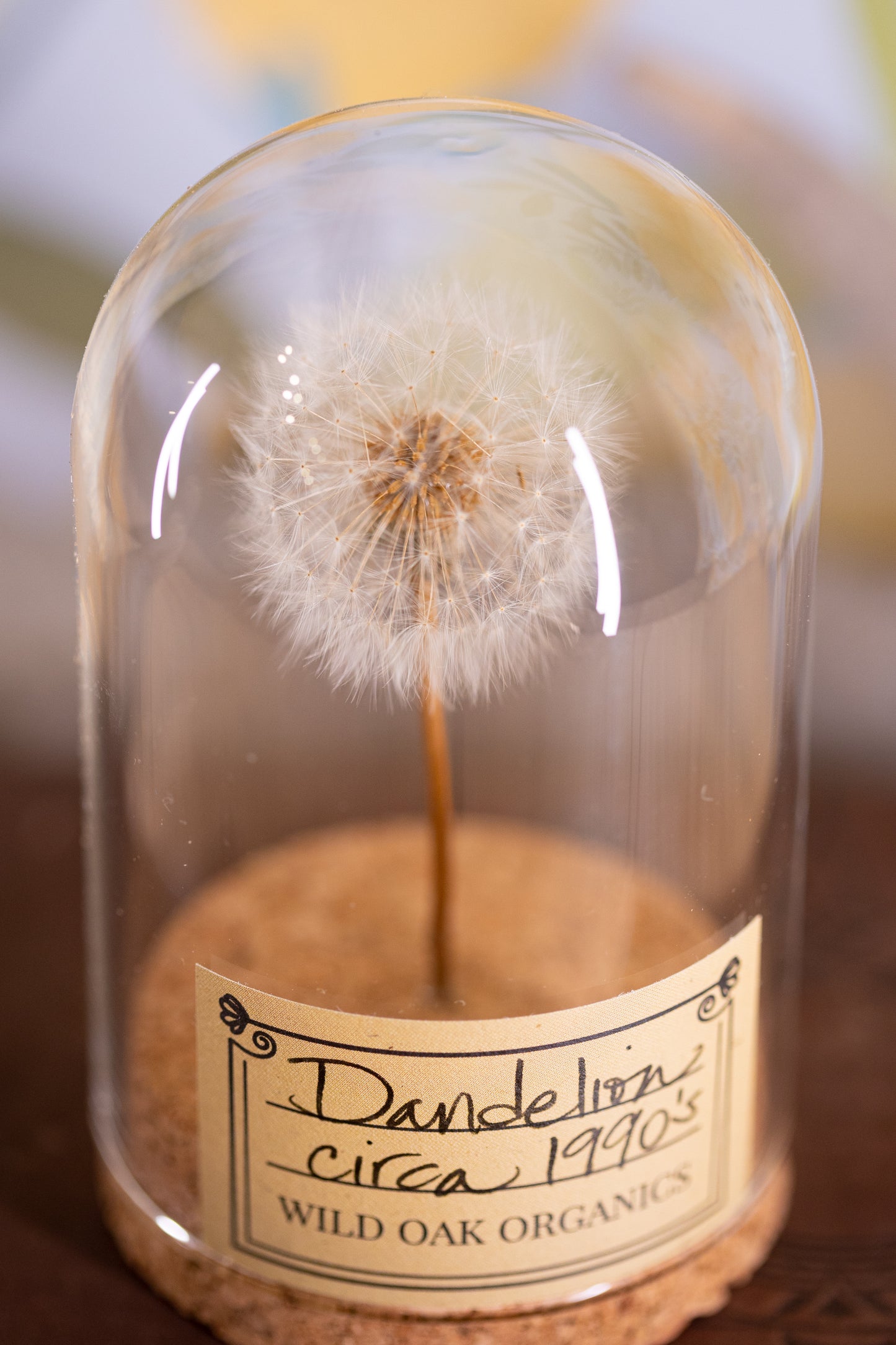 1990's / 1997 Dandelion CLOCHE