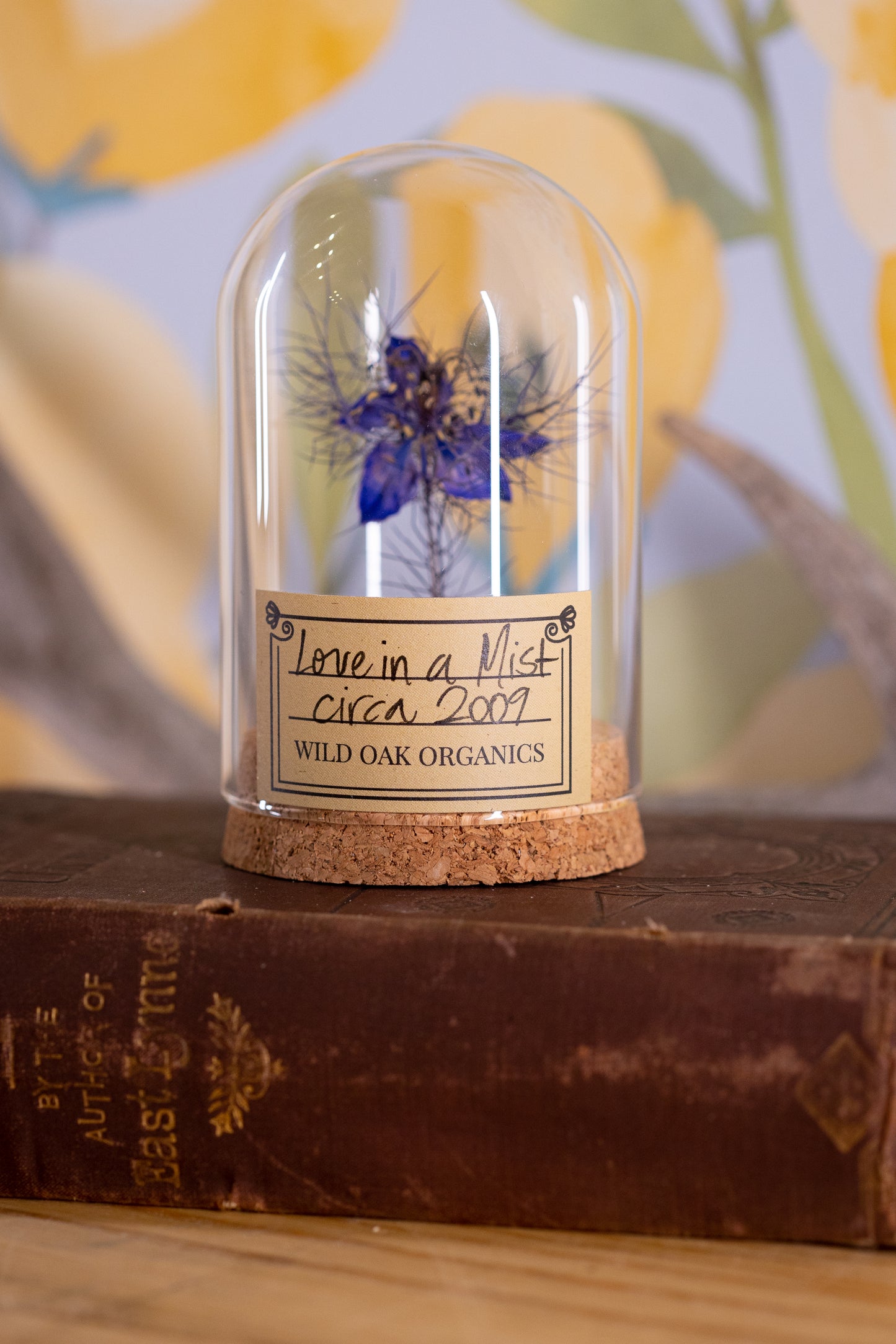 2009 Love in a Mist CLOCHE