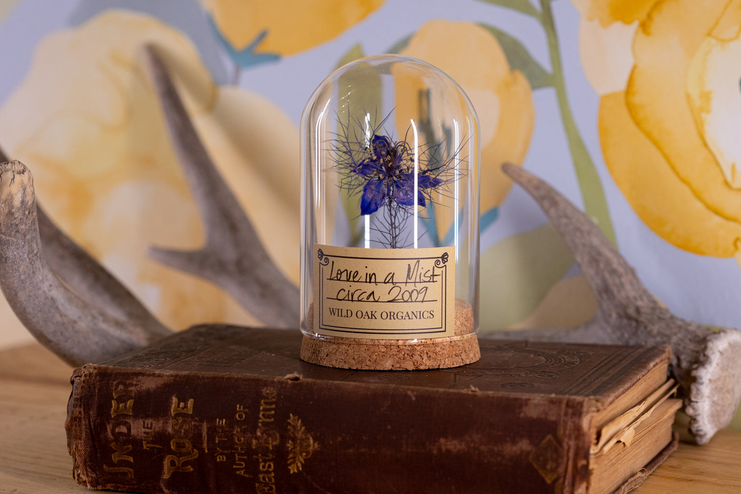 2009 Love in a Mist CLOCHE