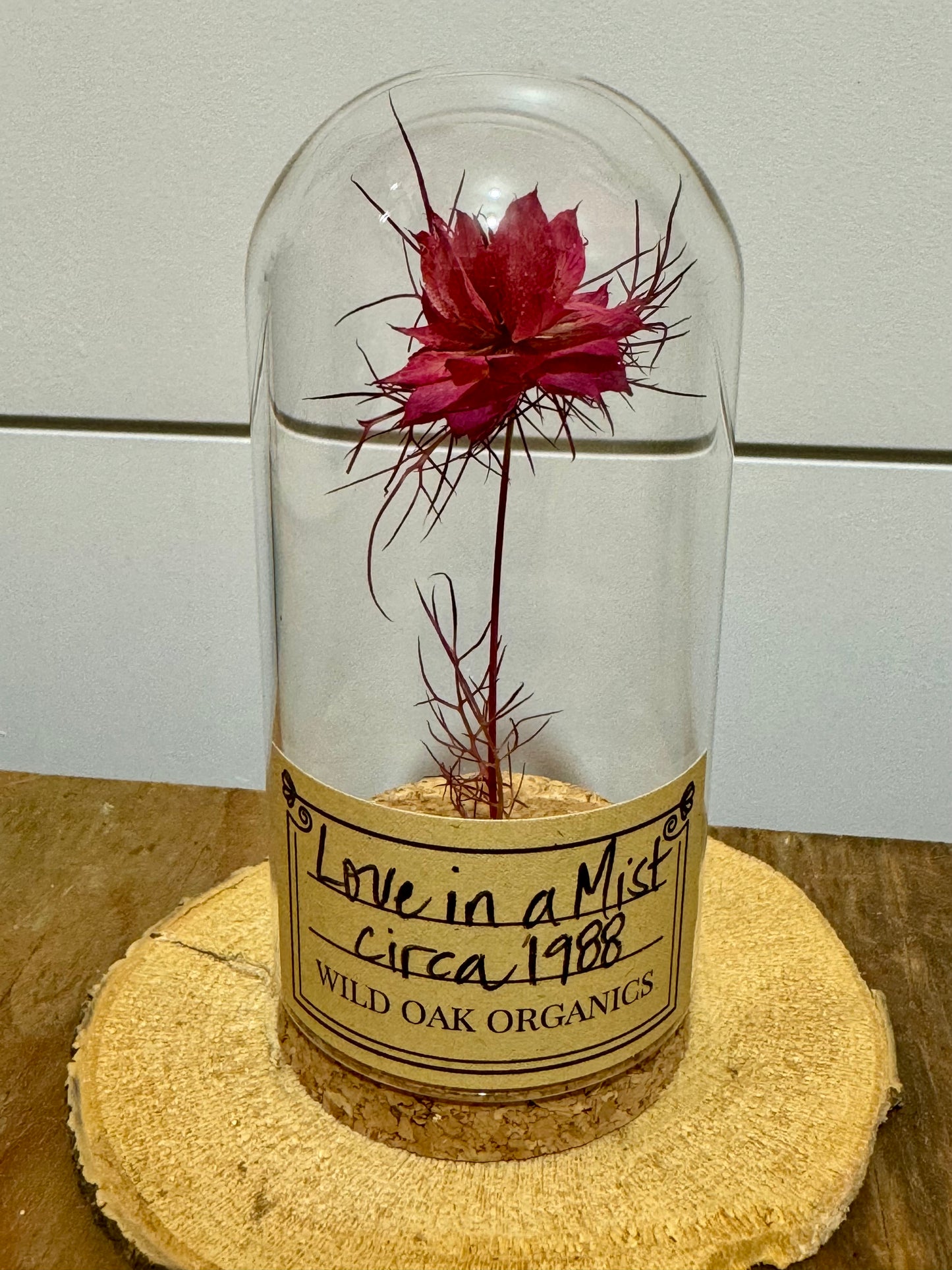 1988 Love in a Mist CLOCHE