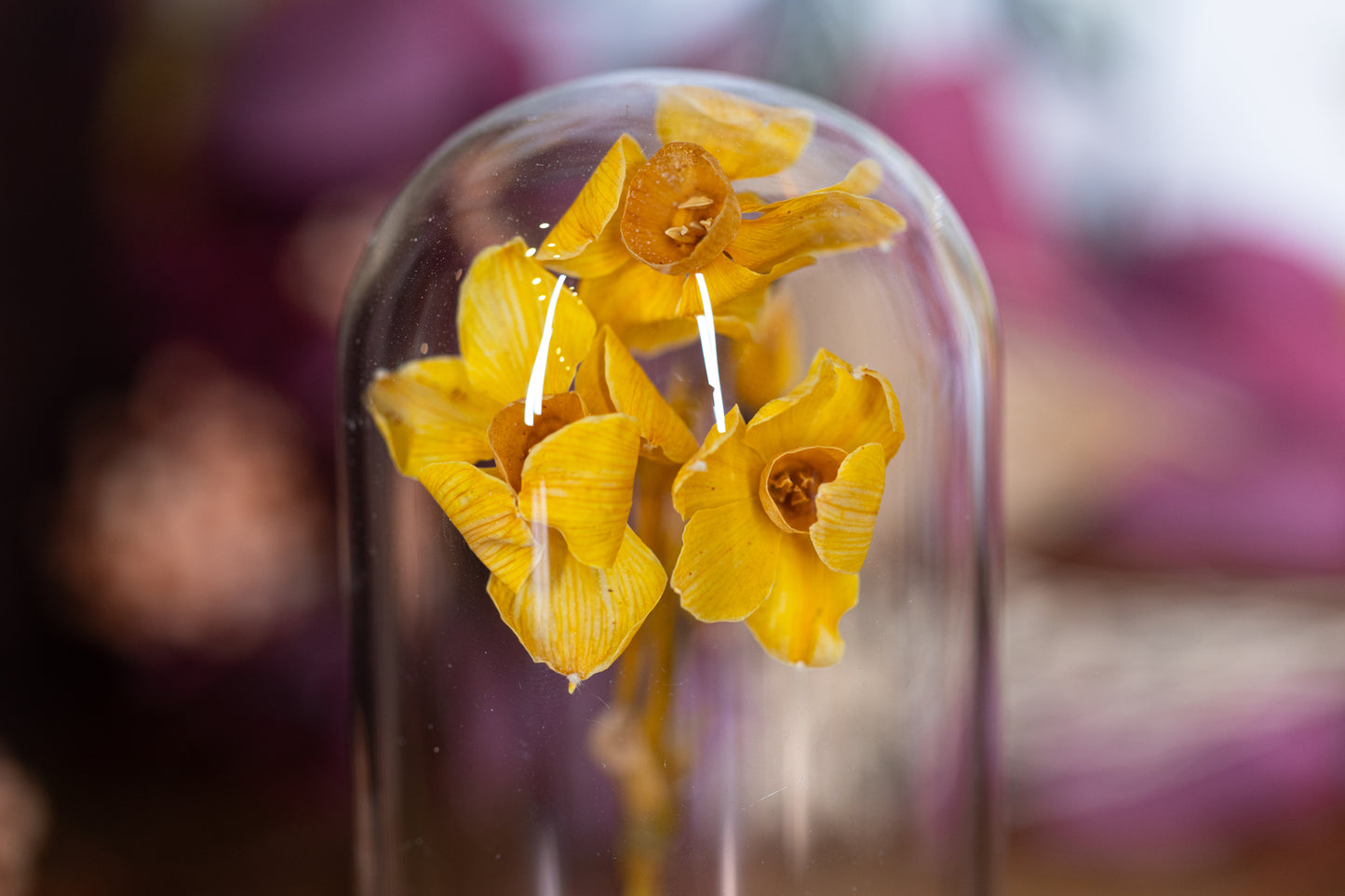 1991 / 1995 Daffodil CLOCHE