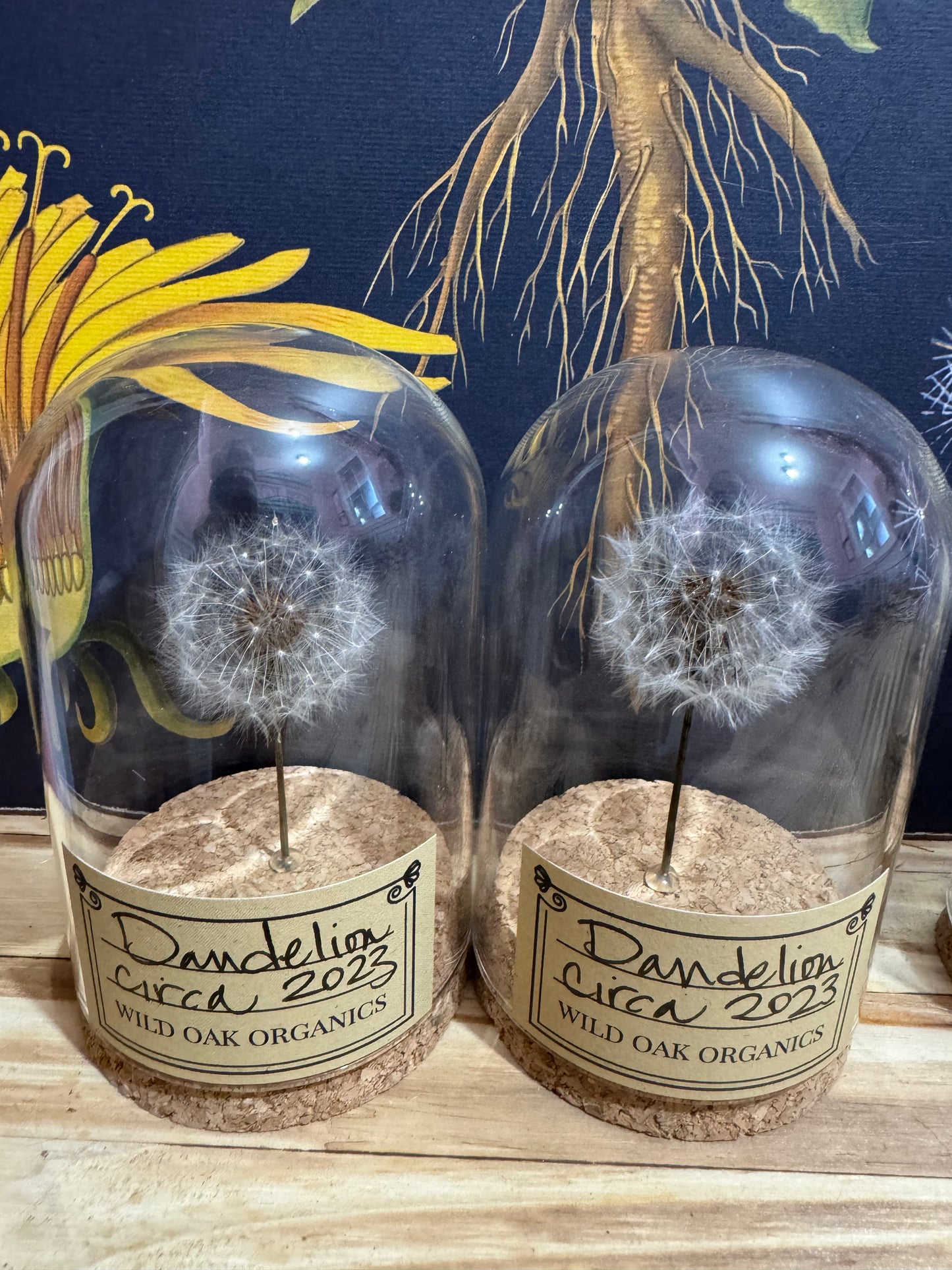 2023 DANDELION CLOCHE