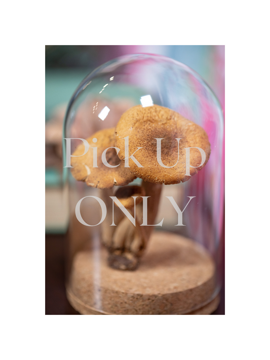 1980's / 1983 Laughing Gym Mushroom CLOCHE