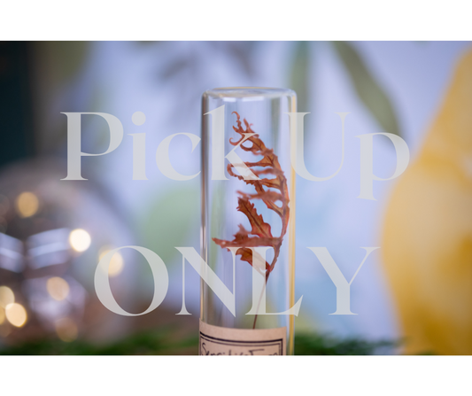 1974 / 1975 Sensitive fern VIAL