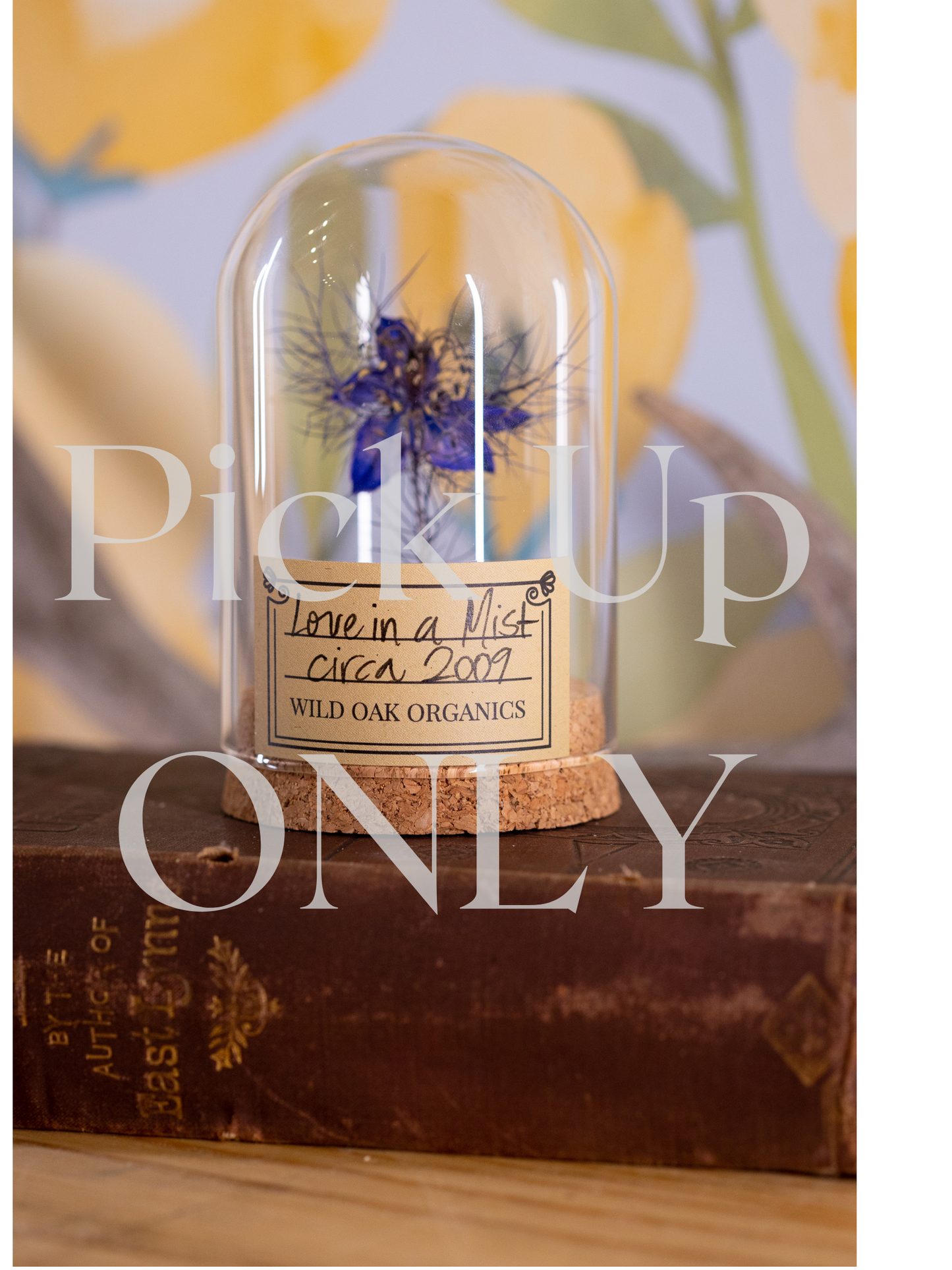 2009 Love in a Mist CLOCHE