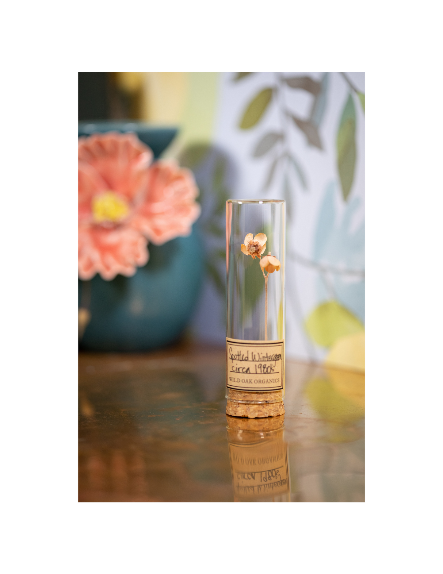 1980's Spotted Wintergreen VIAL