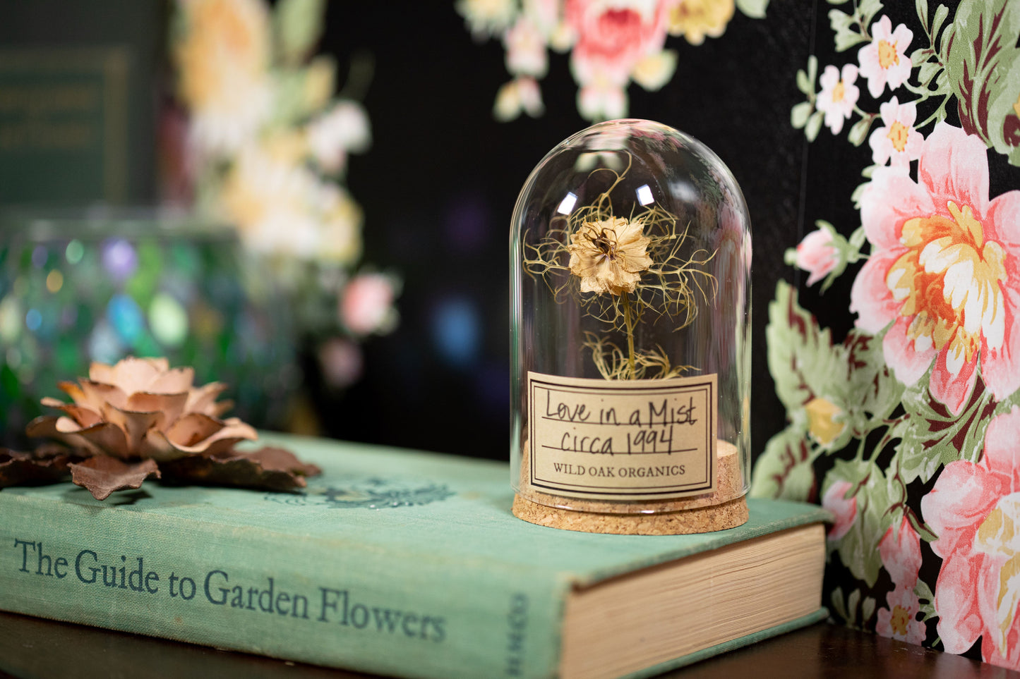 1994 Love in a Mist CLOCHE