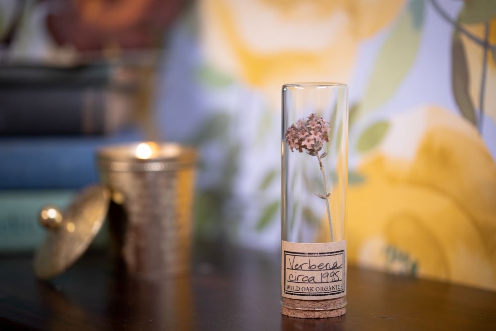 1995 Verbena VIAL