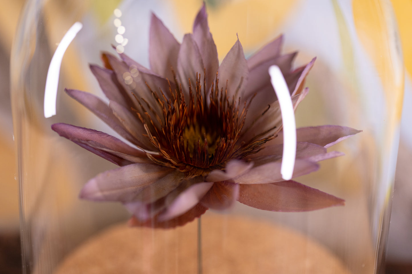 1991 Water Lily CLOCHE