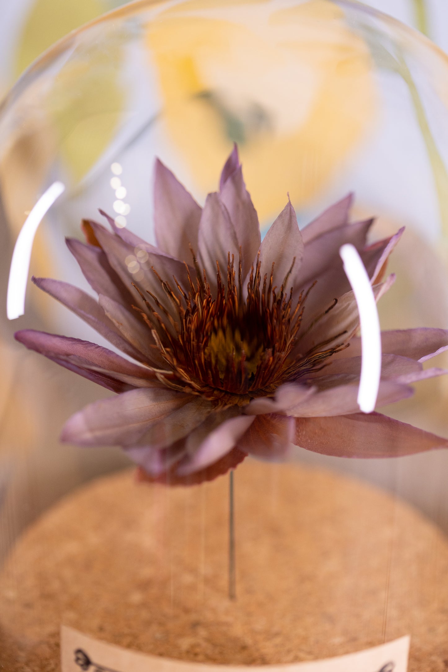 1991 Water Lily CLOCHE