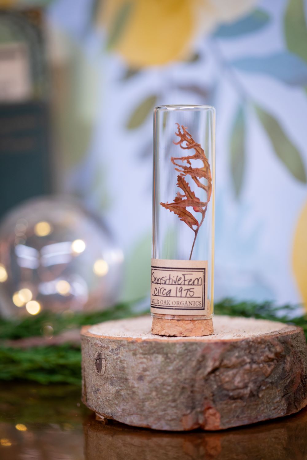 1974 / 1975 Sensitive fern VIAL