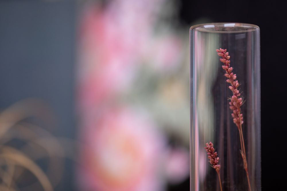 1990 Asiatic Smartweed VIAL