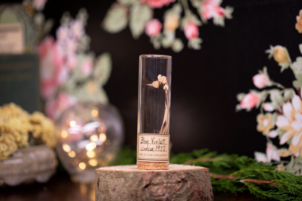 1977 Bog Violet VIAL