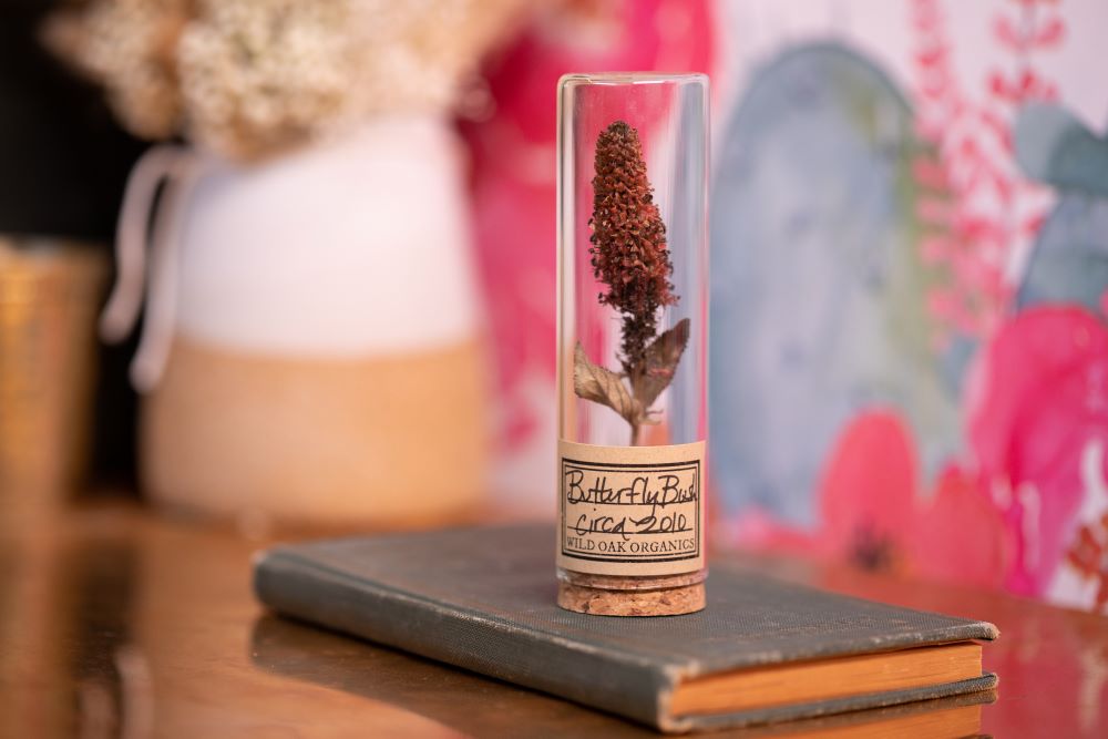 2010 Butterfly Bush VIAL