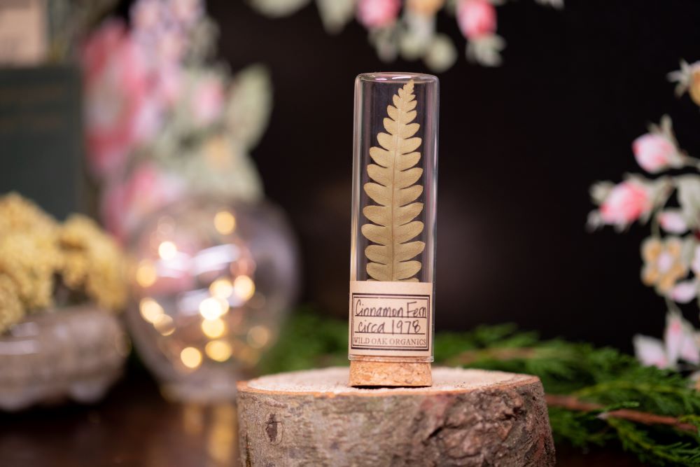 1978 Cinnamon Fern VIAL