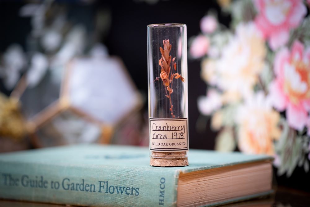 1978 Cranberry VIAL