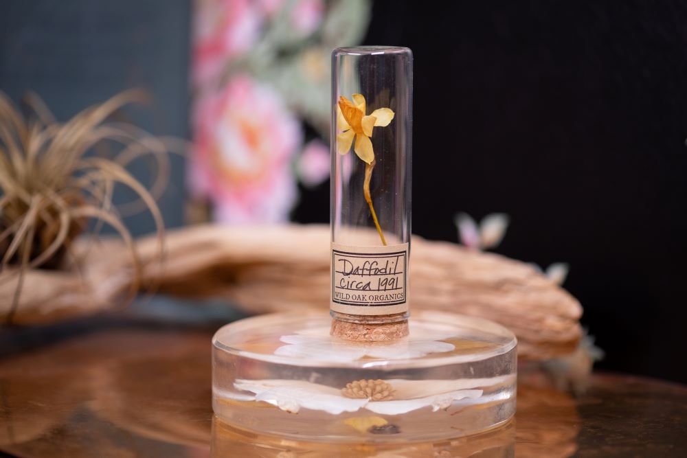 1991 Daffodil VIAL