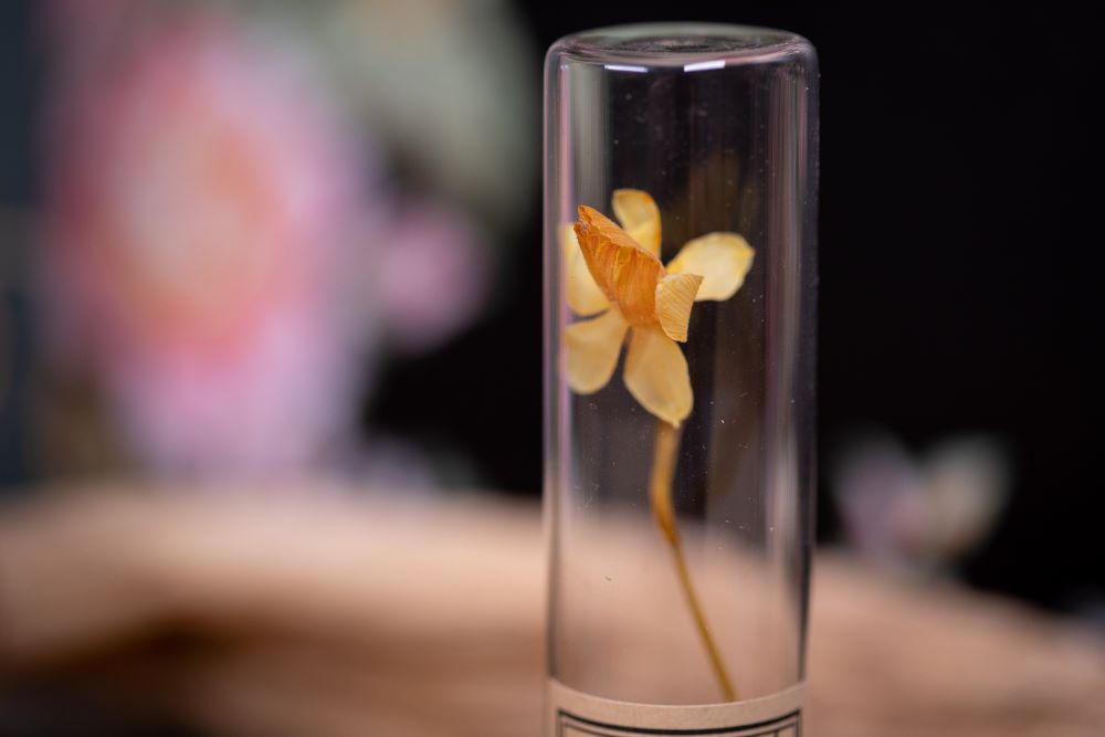 1991 Daffodil VIAL