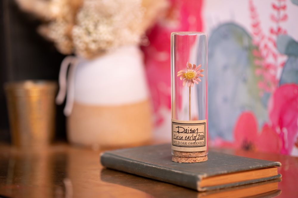 Early 2000s Daisy VIAL