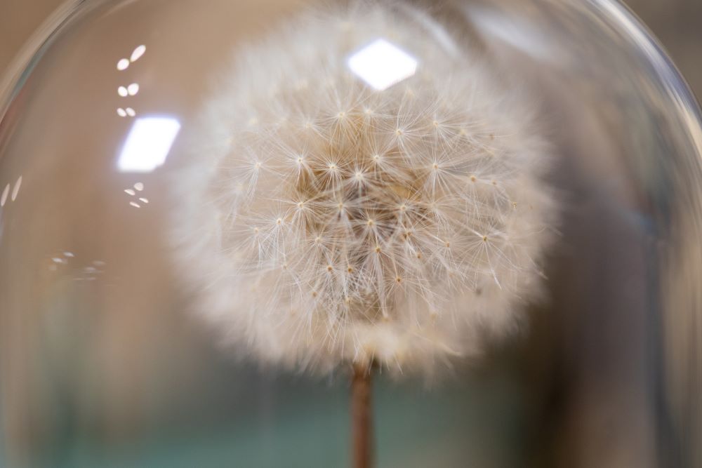 1990's / 1997 Dandelion CLOCHE