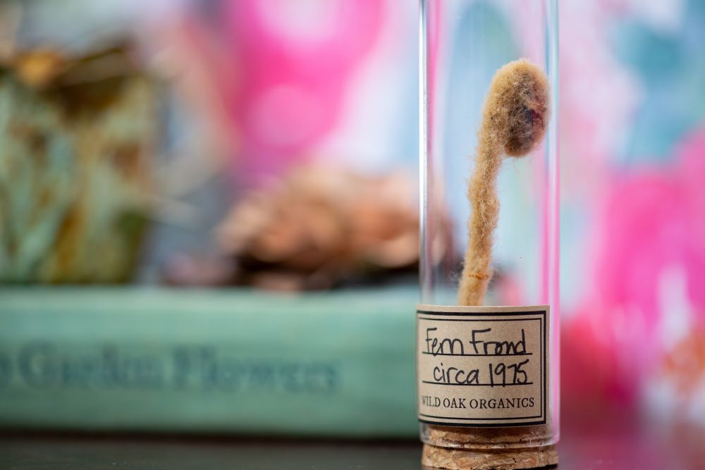 1975 Fern Frond VIAL