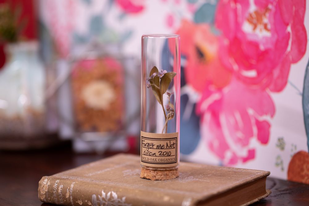 2010 Forget me Not VIAL
