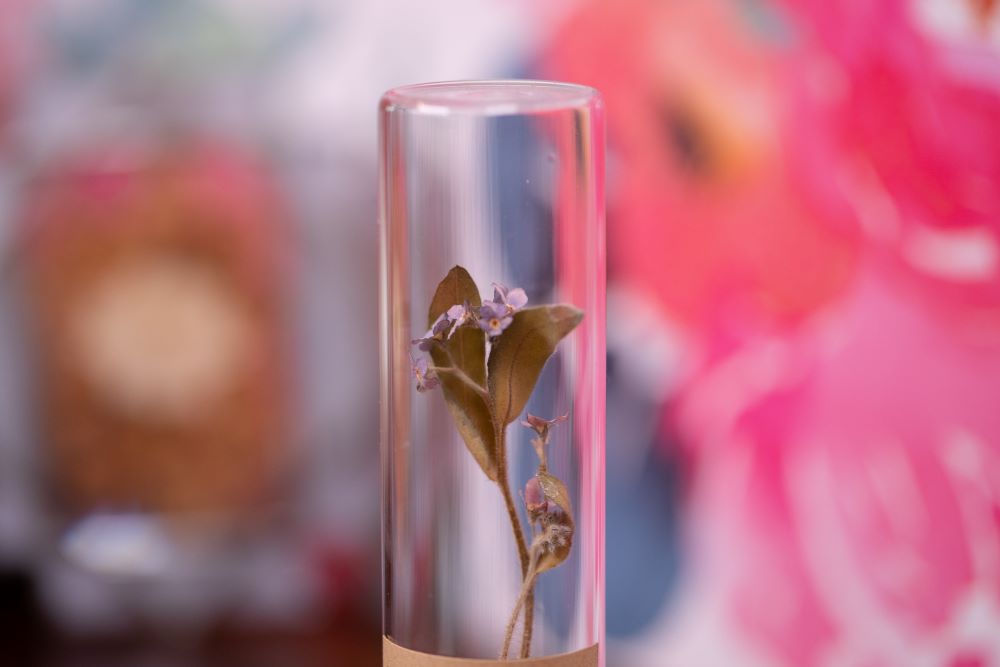2010 Forget me Not VIAL
