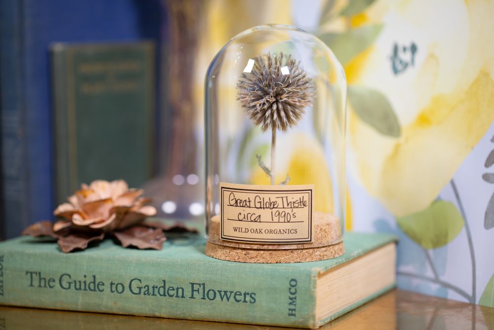 1990's / 1995 Globe Thistle CLOCHE