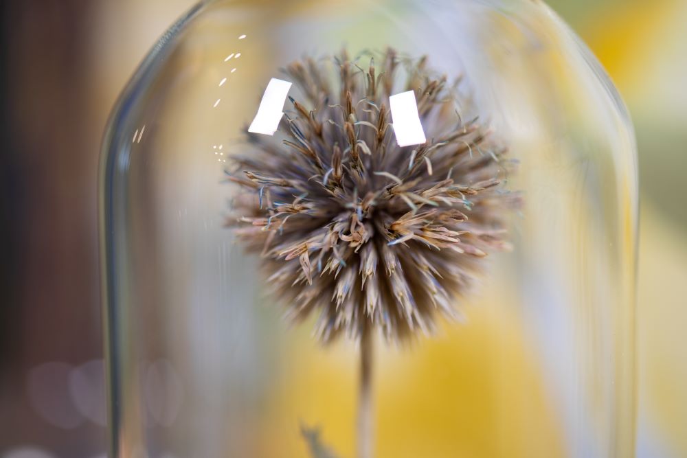 1990's / 1995 Globe Thistle CLOCHE