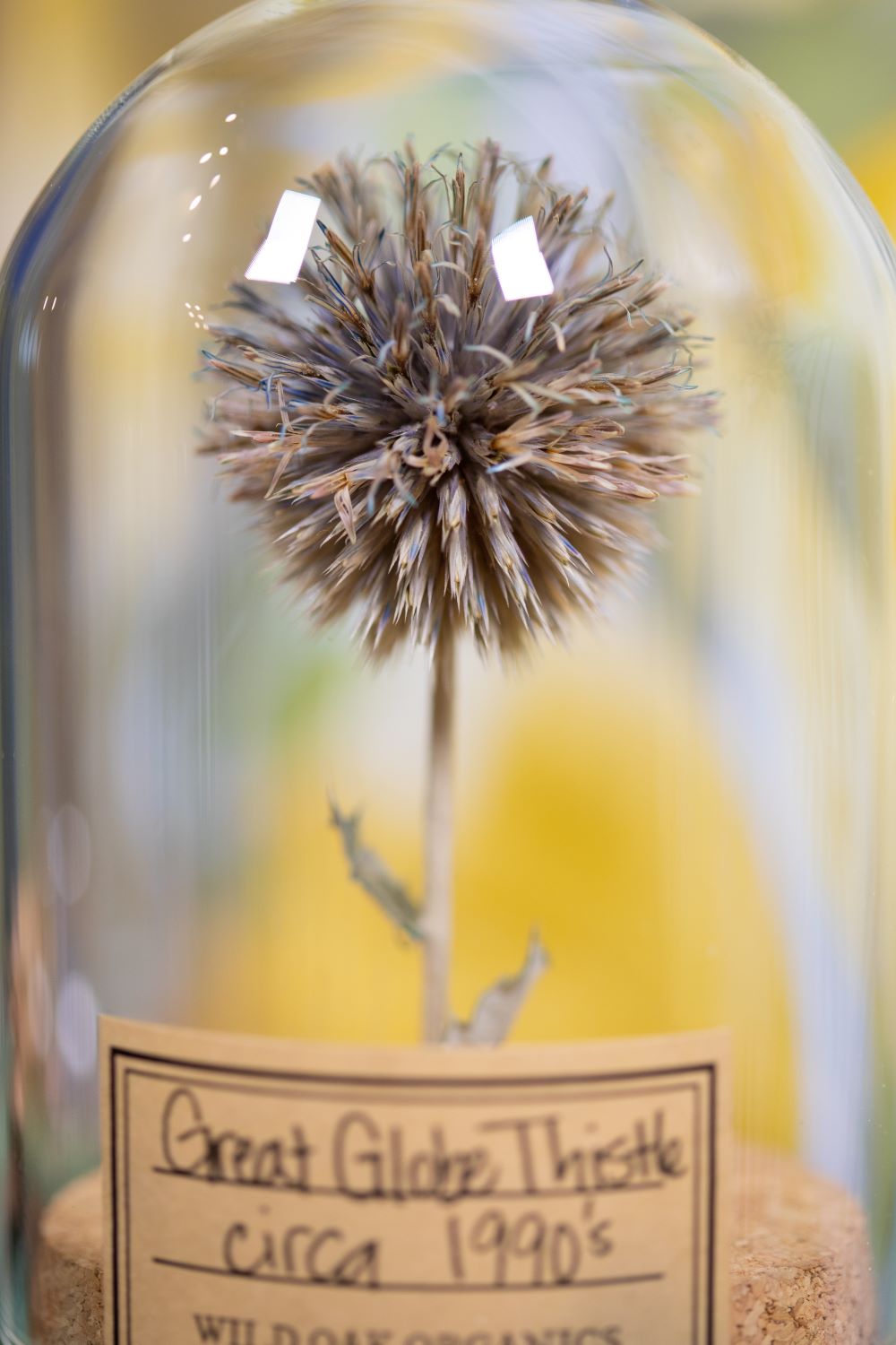 1990's / 1995 Globe Thistle CLOCHE