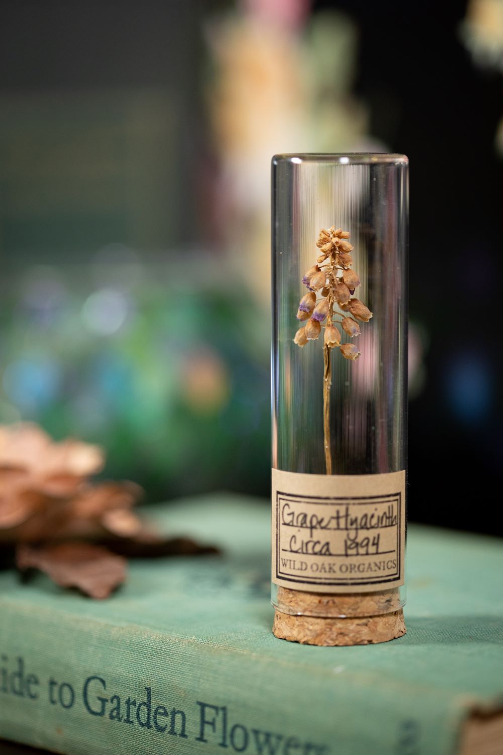 1994 Grape Hyacinth VIAL