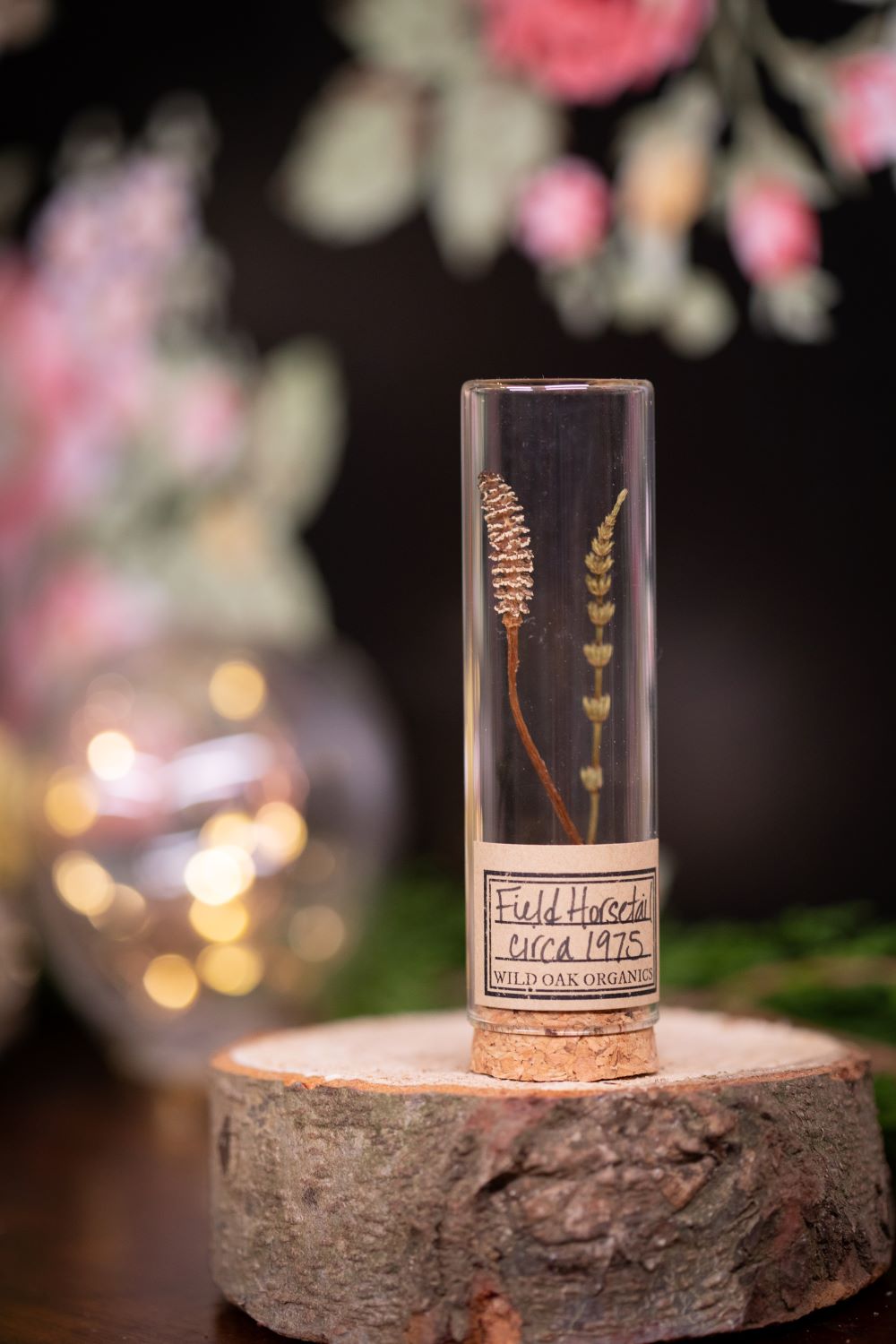 1975 Field Horsetail VIAL