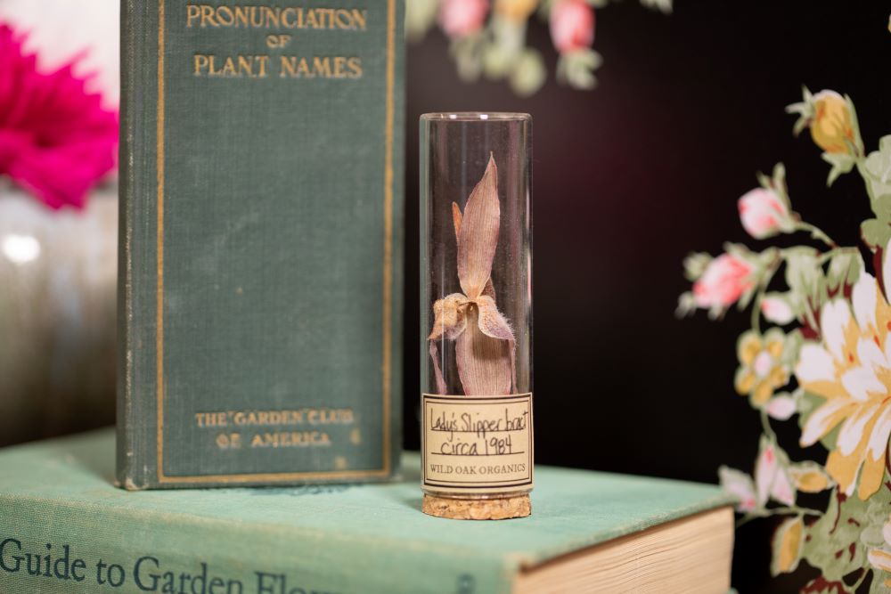 1984 Lady's Slipper Bract VIAL