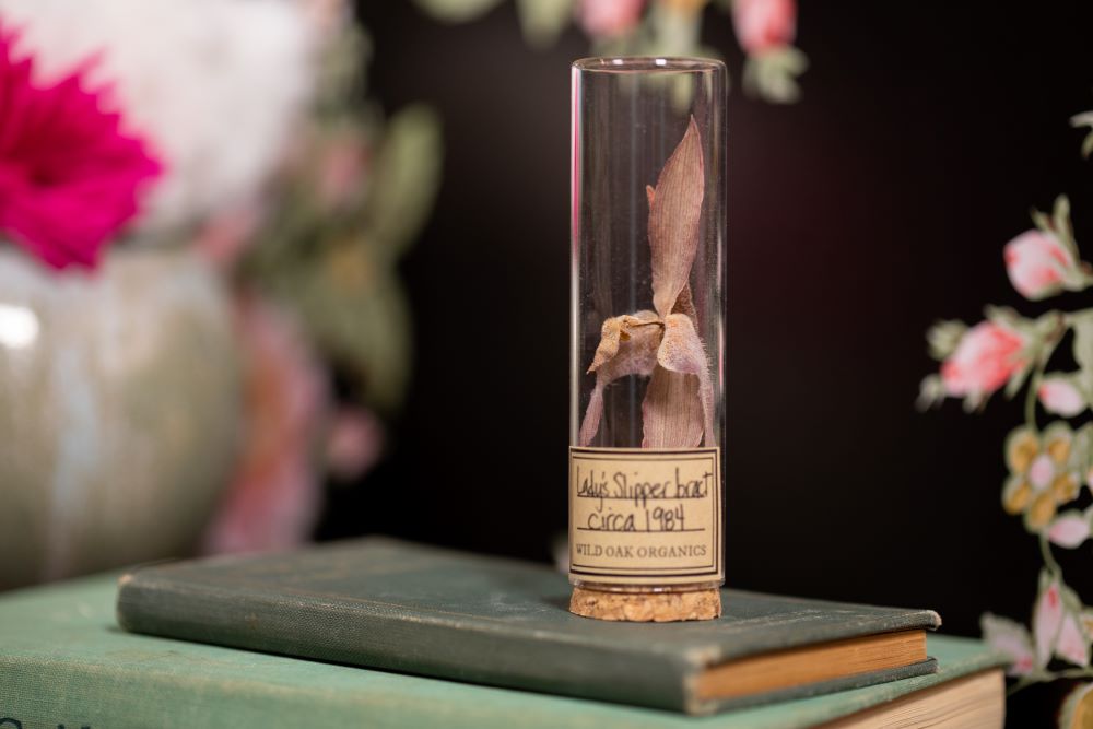 1984 Lady's Slipper Bract VIAL