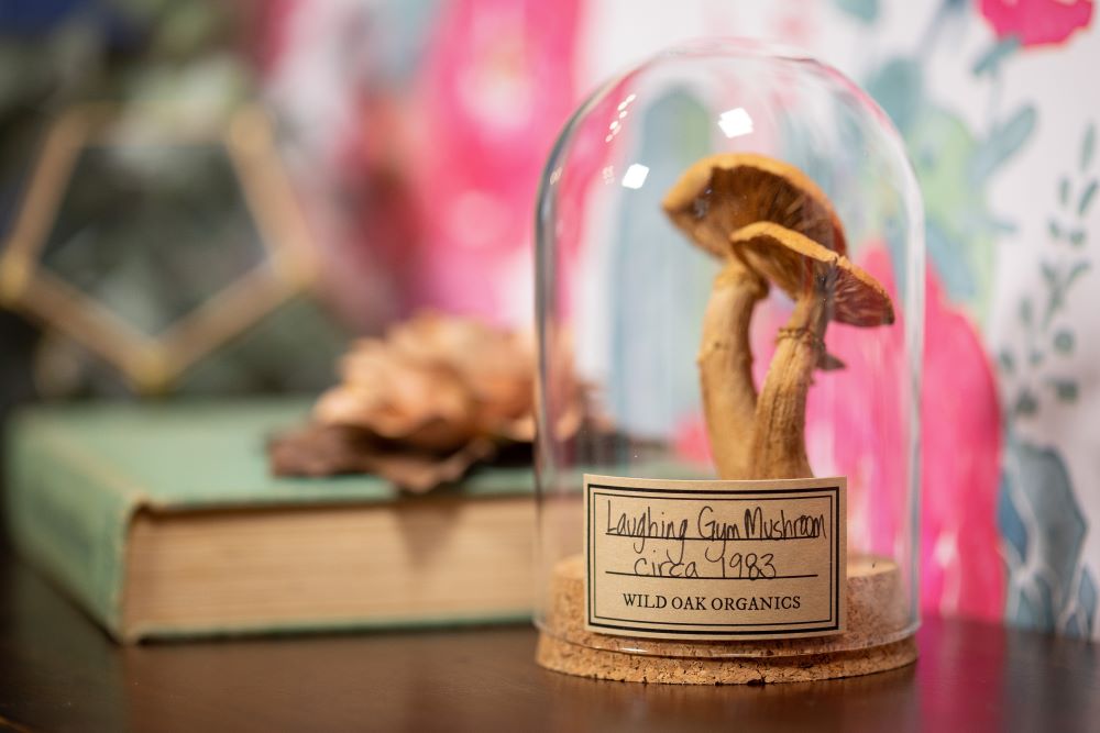1980's / 1983 Laughing Gym Mushroom CLOCHE