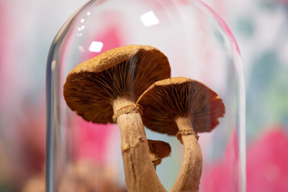 1980's / 1983 Laughing Gym Mushroom CLOCHE