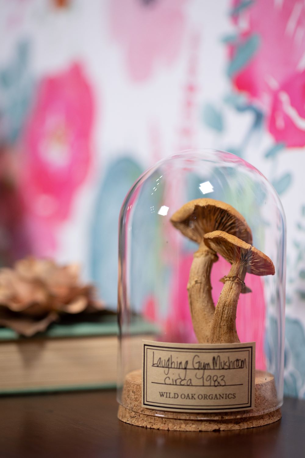 1980's / 1983 Laughing Gym Mushroom CLOCHE
