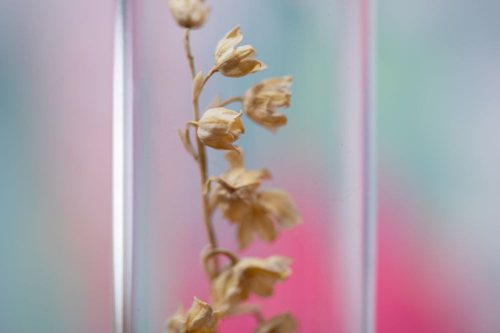 2010 Lily of the Valley VIAL