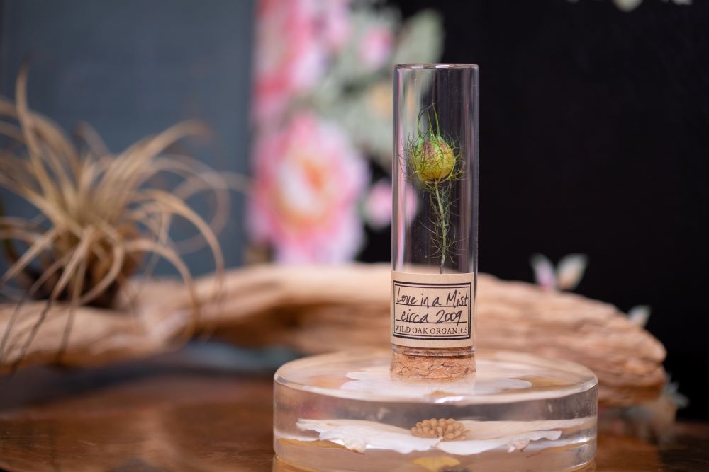 2009 Love in a Mist VIAL