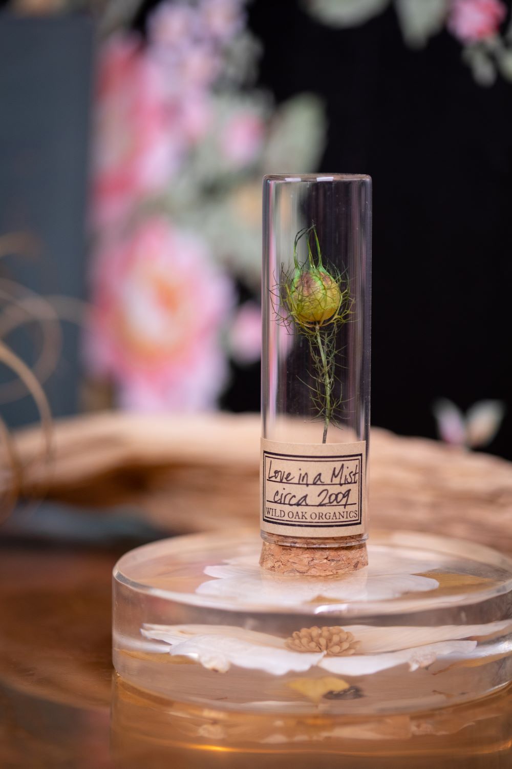 2009 Love in a Mist VIAL