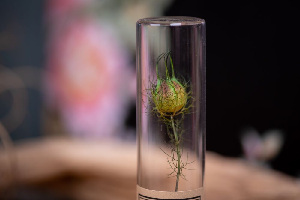 2009 Love in a Mist VIAL