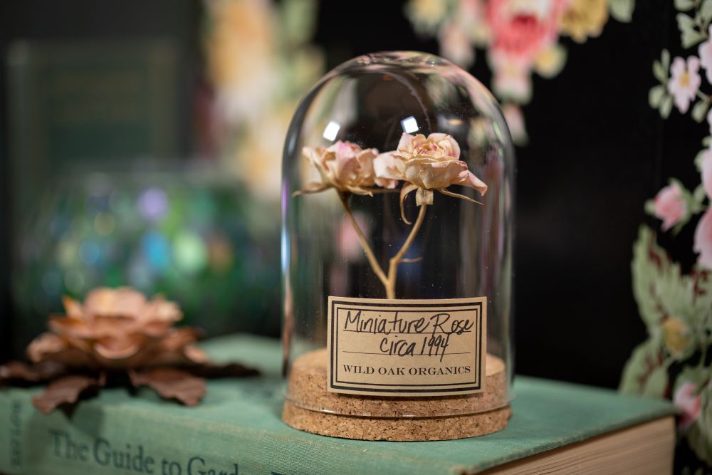1990's / 1991 / 1994 Miniature Rose CLOCHE