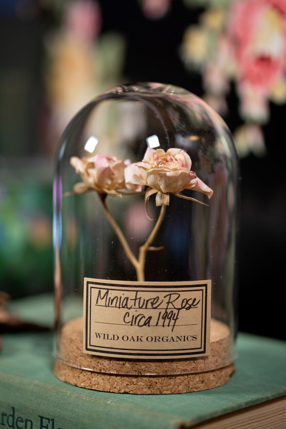 1990's / 1991 / 1994 Miniature Rose CLOCHE