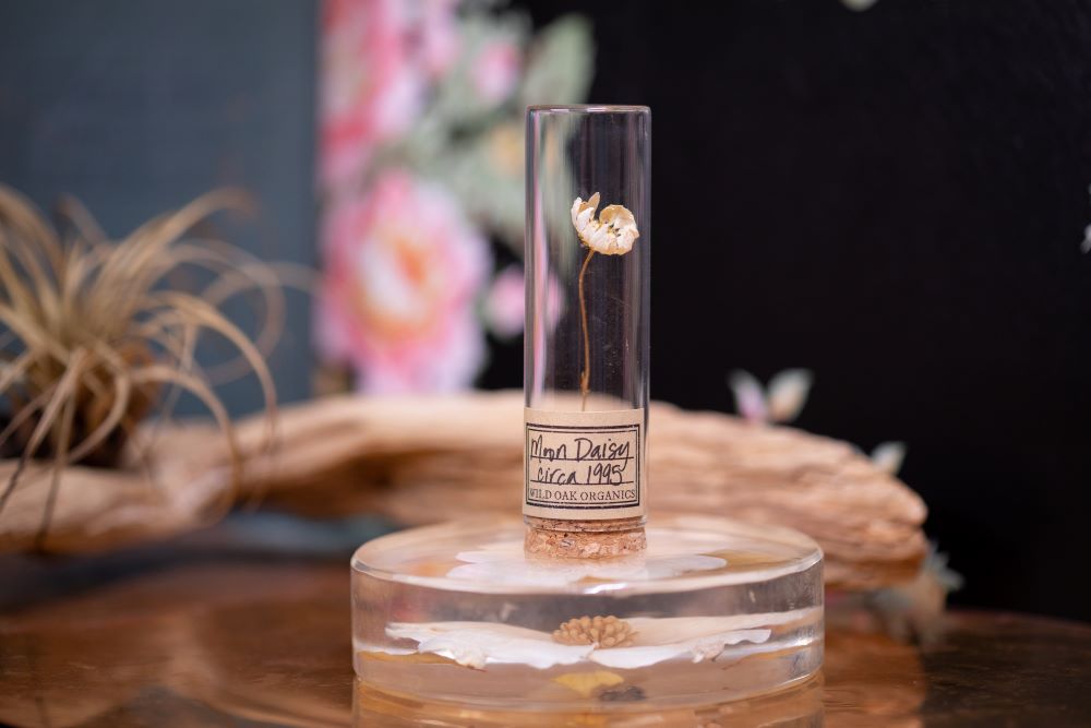 1995 Moon Daisy VIAL